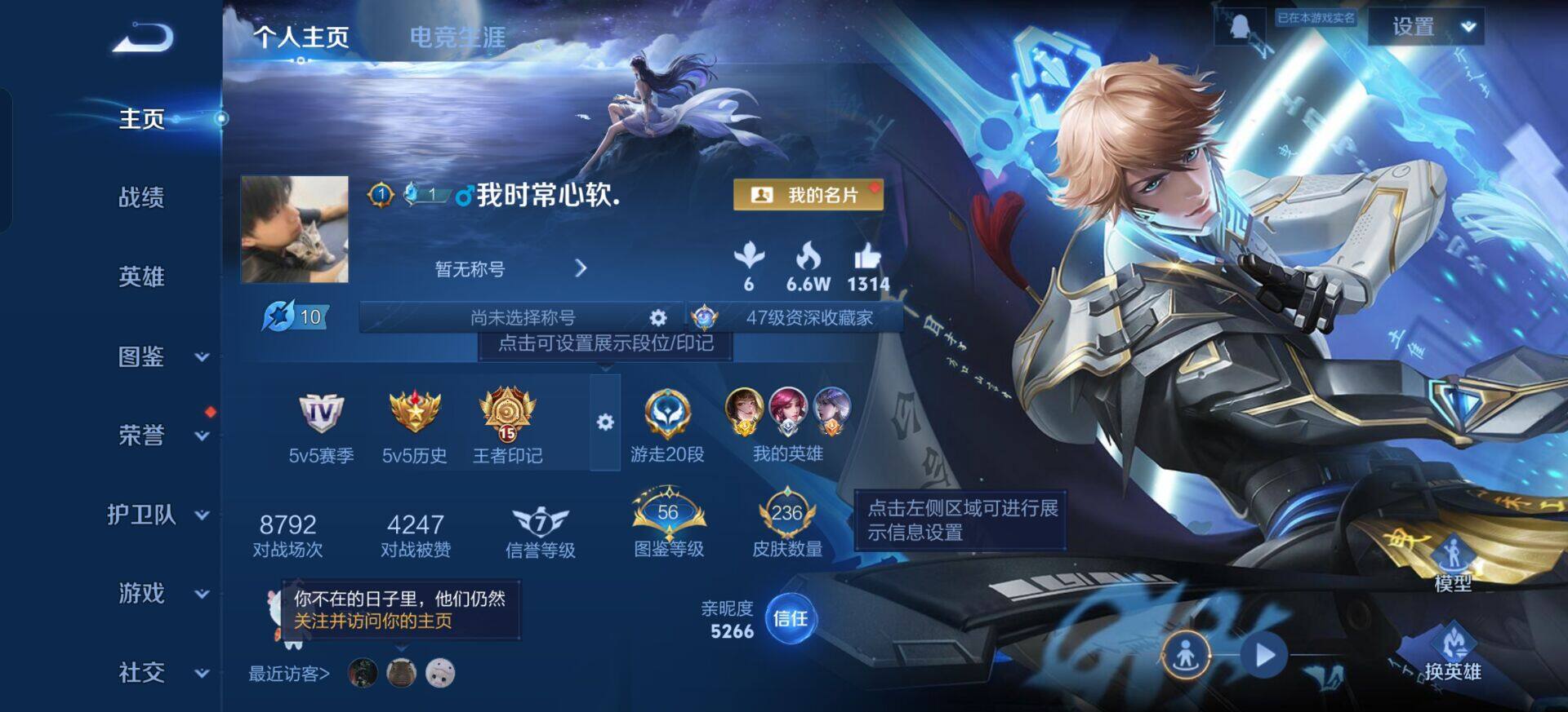 WZQM3365785王者荣耀账号详情图3