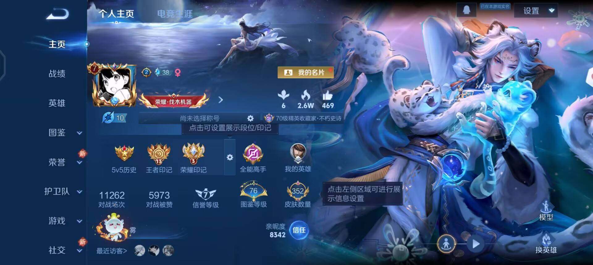 WZQM3371495王者荣耀账号详情图3