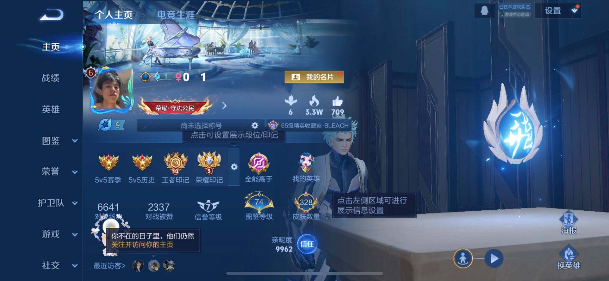 WZQM3371467王者荣耀账号详情图14