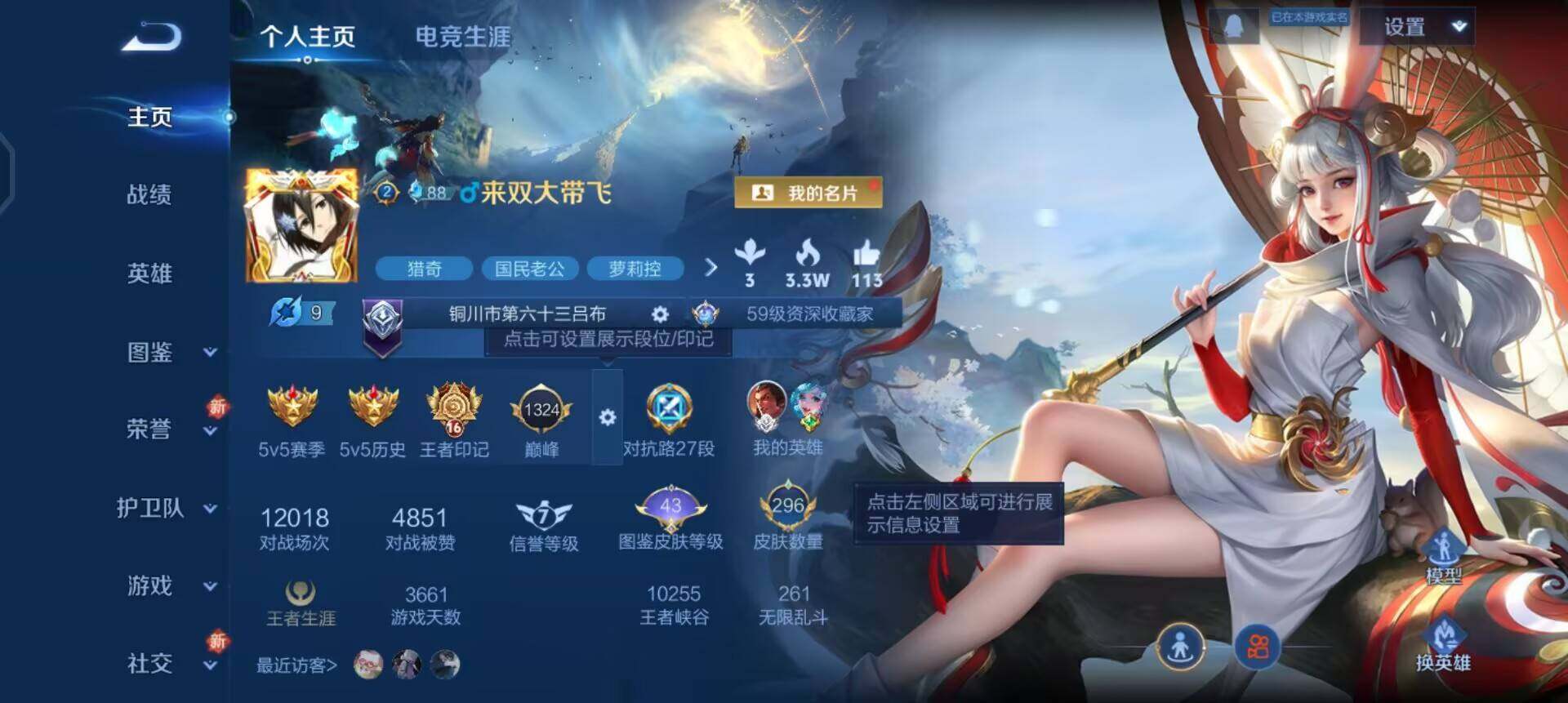 WZQM3372245王者荣耀账号详情图3