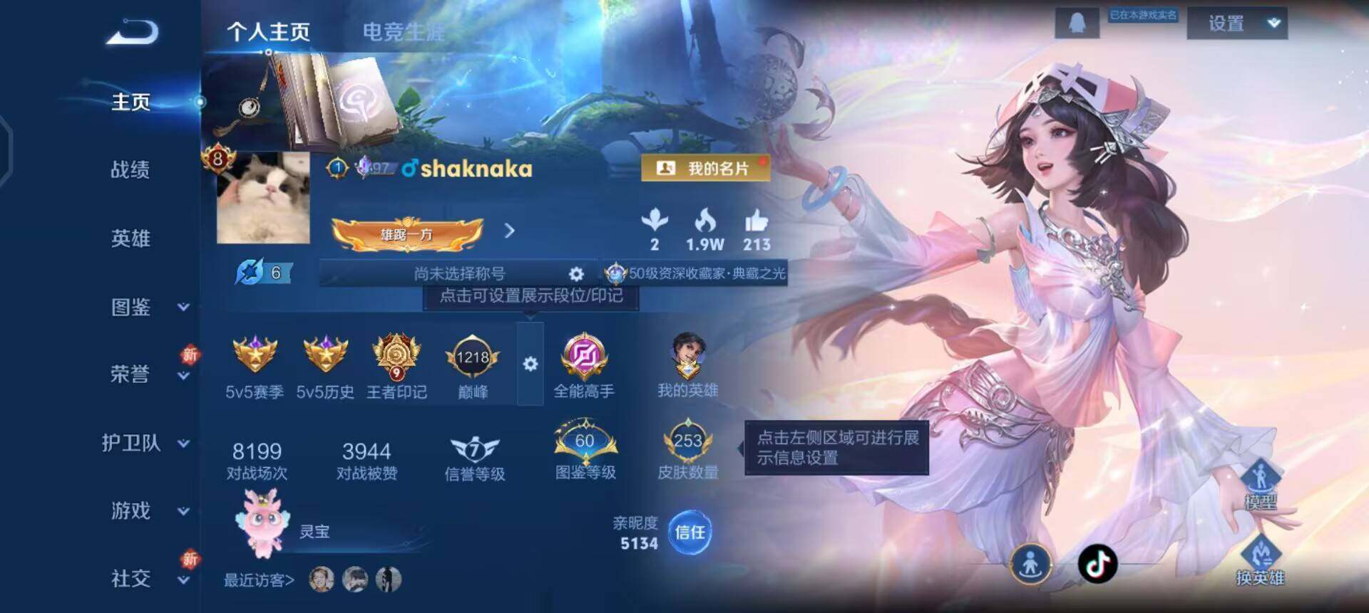 WZQM3372241王者荣耀账号详情图6