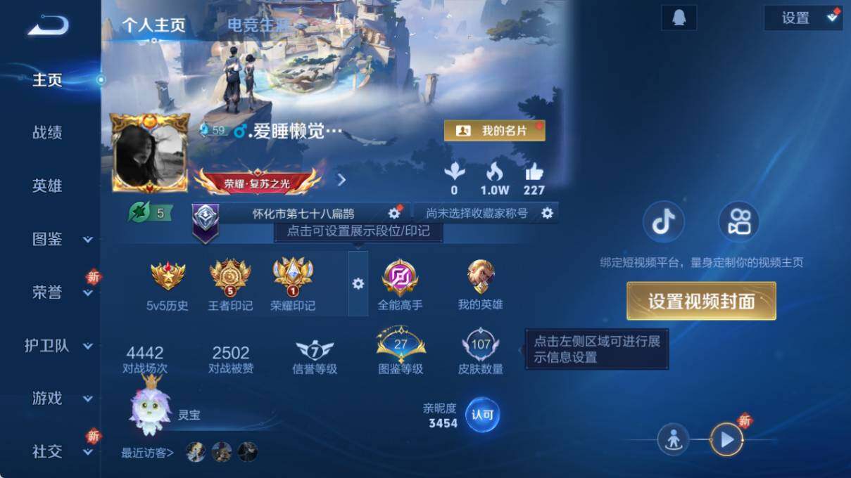 WZLX3369944王者荣耀账号详情图4