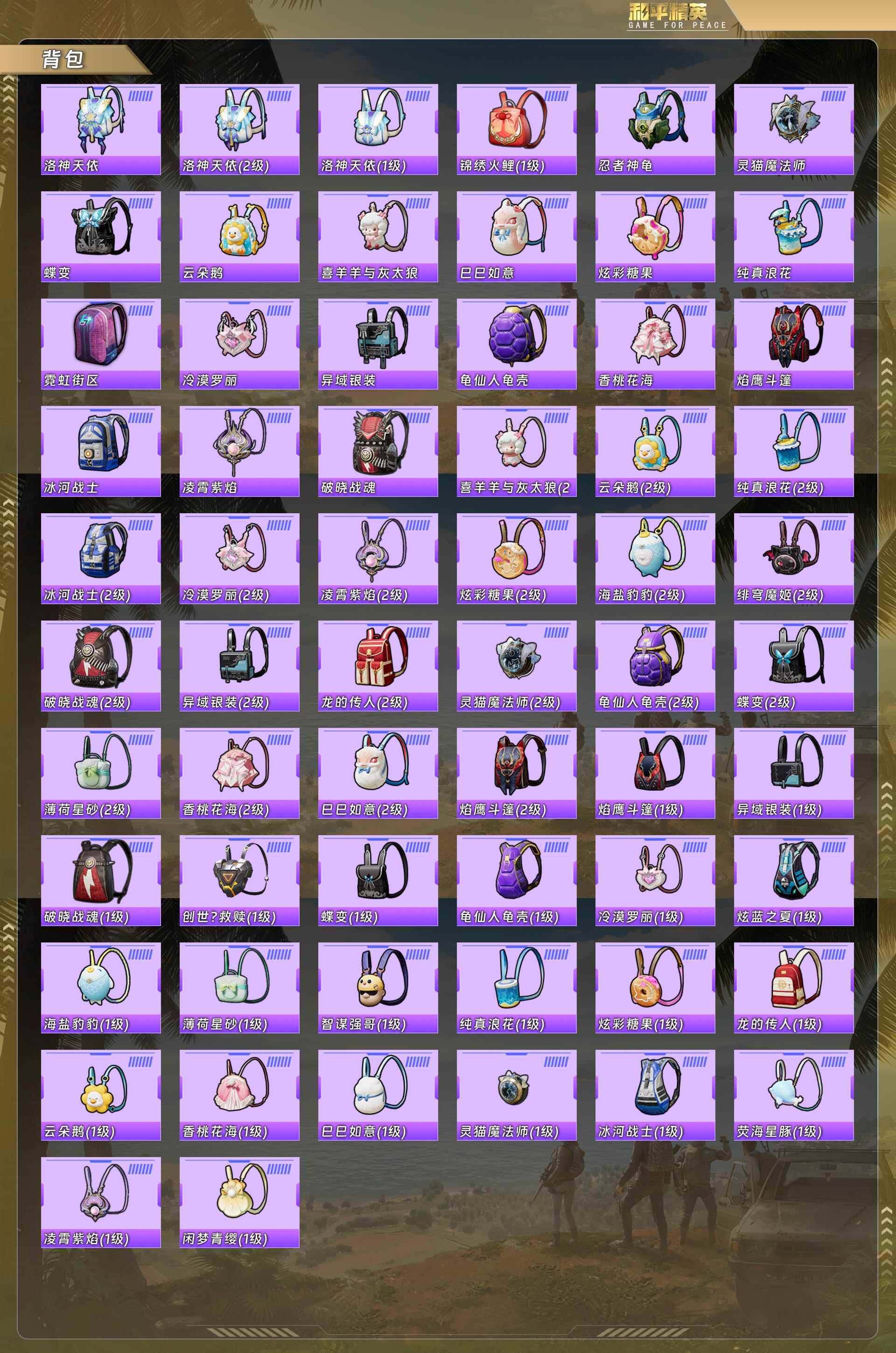 HPCMW478176和平精英账号详情图10