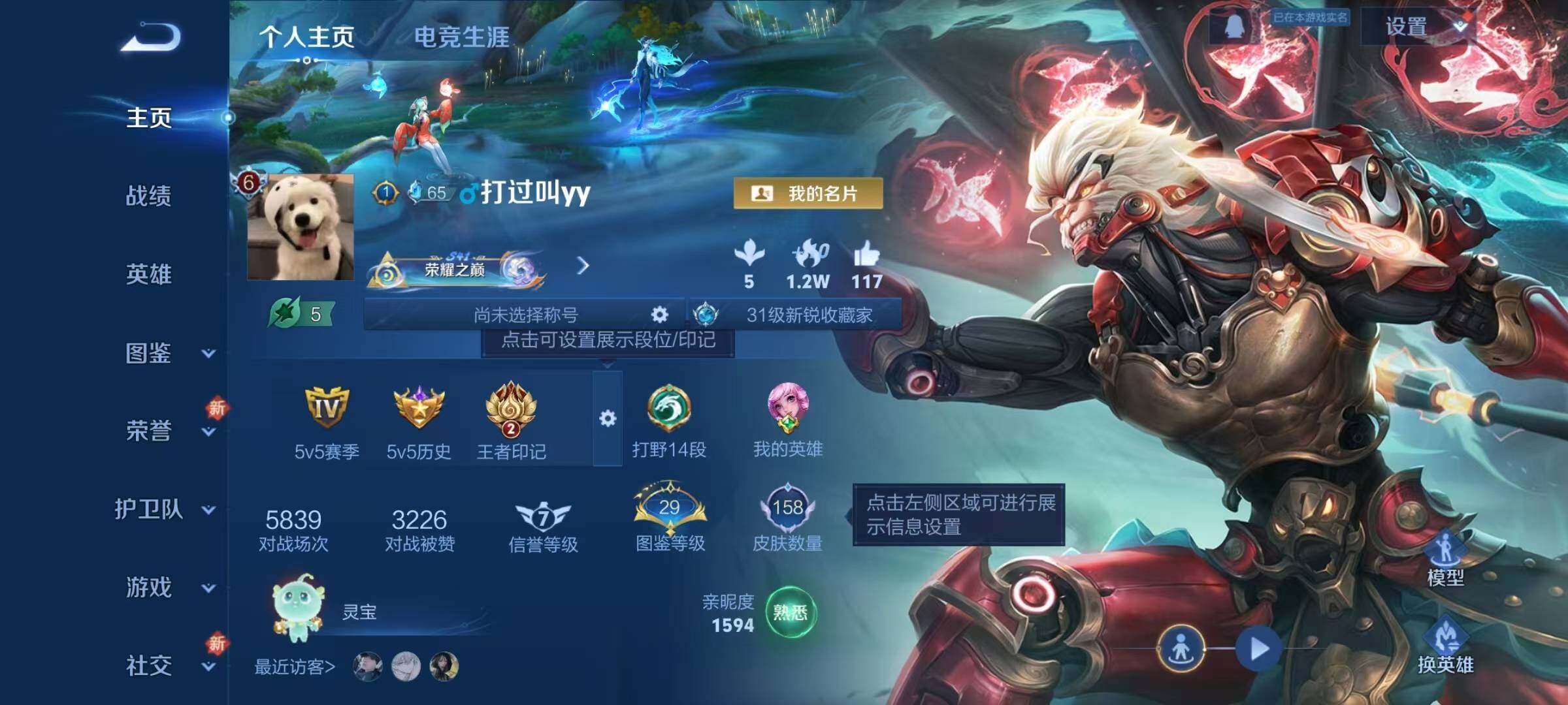 WZJZ3376443王者荣耀账号详情图5