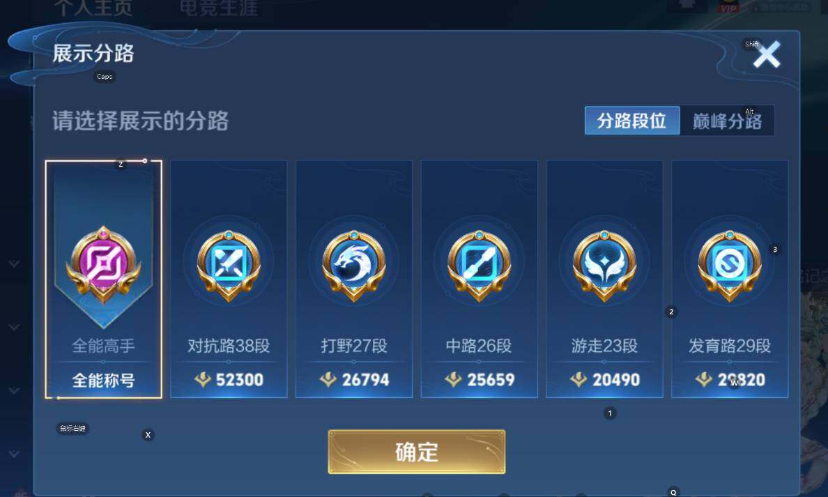 WZCMW3369919王者荣耀账号详情图13