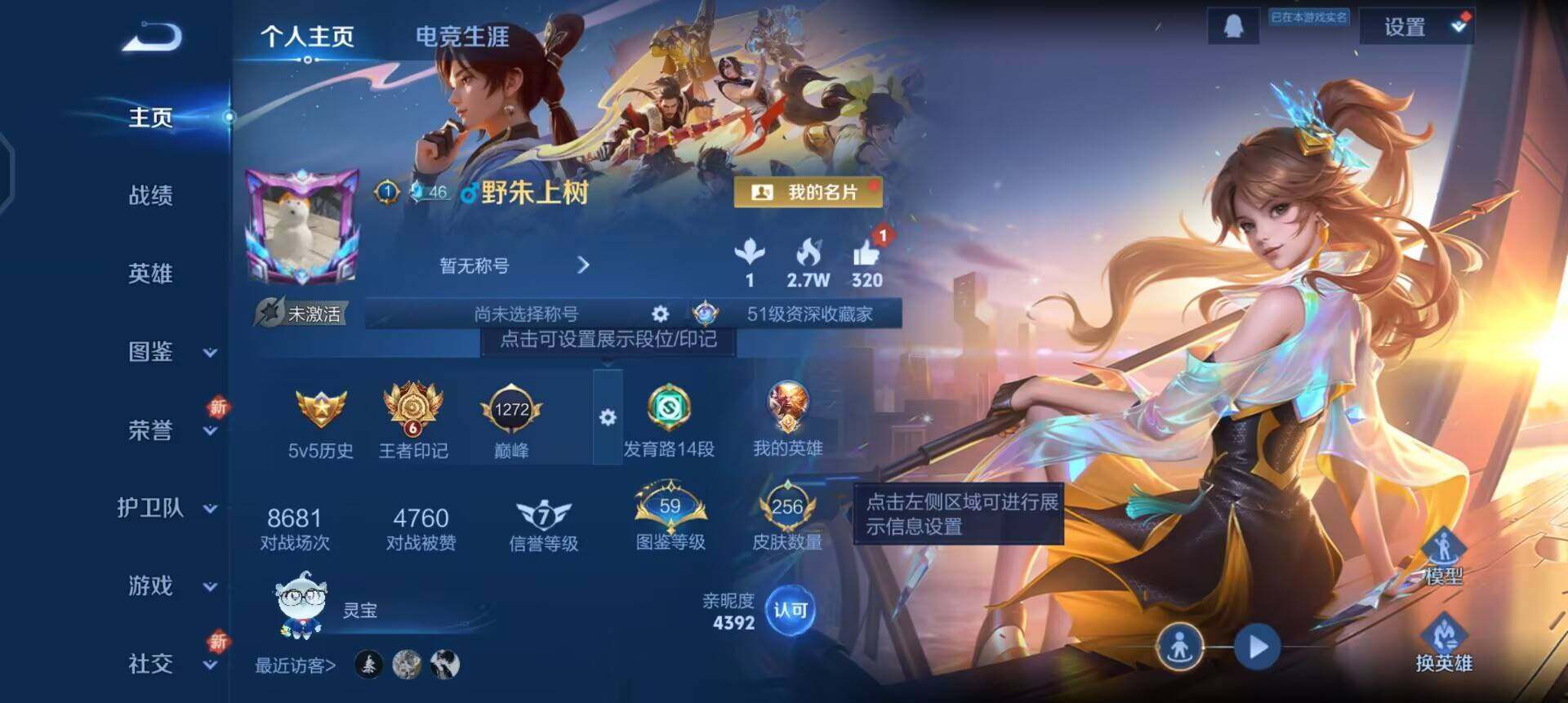 WZQM3380329王者荣耀账号详情图10