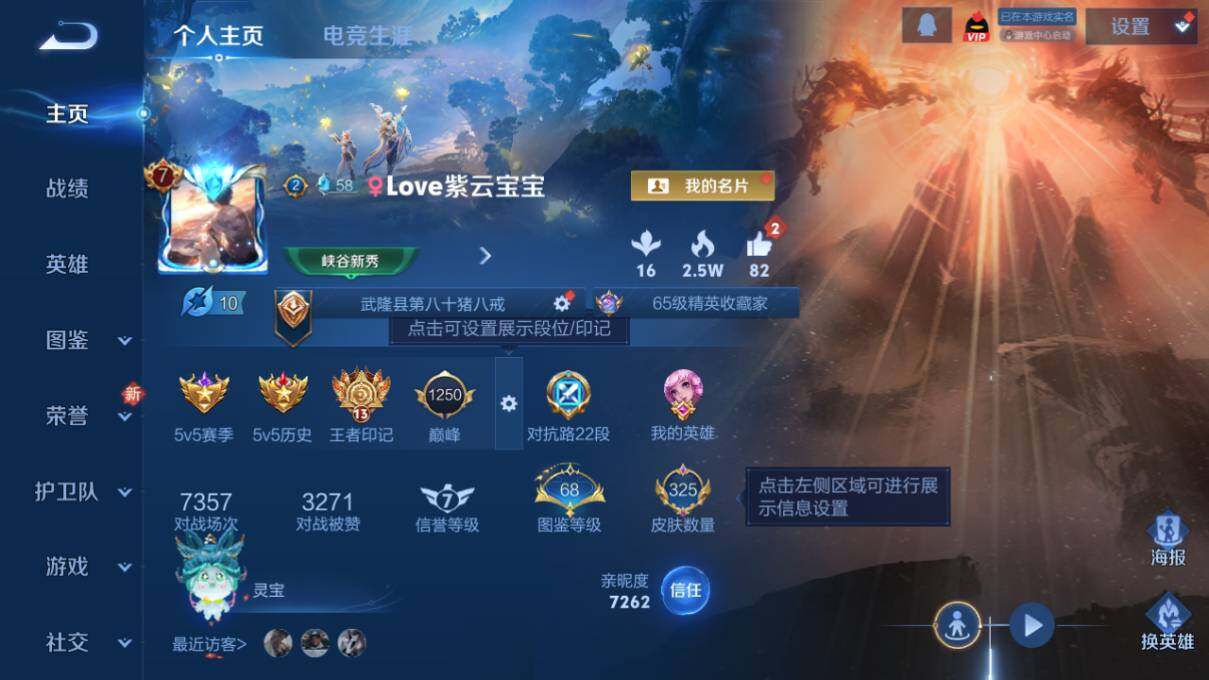 WZ0349446王者荣耀账号详情图8