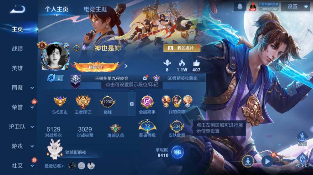 WZ0349451王者荣耀账号详情图8