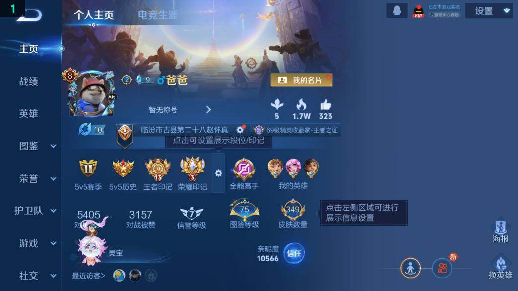 WZ0349460王者荣耀账号详情图8