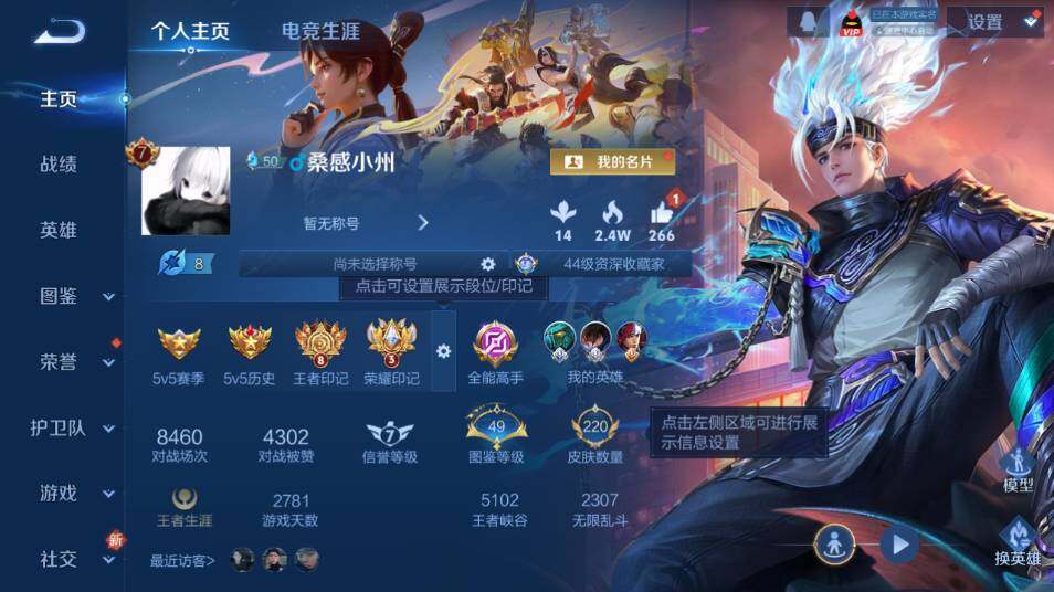 WZ0349466王者荣耀账号详情图8