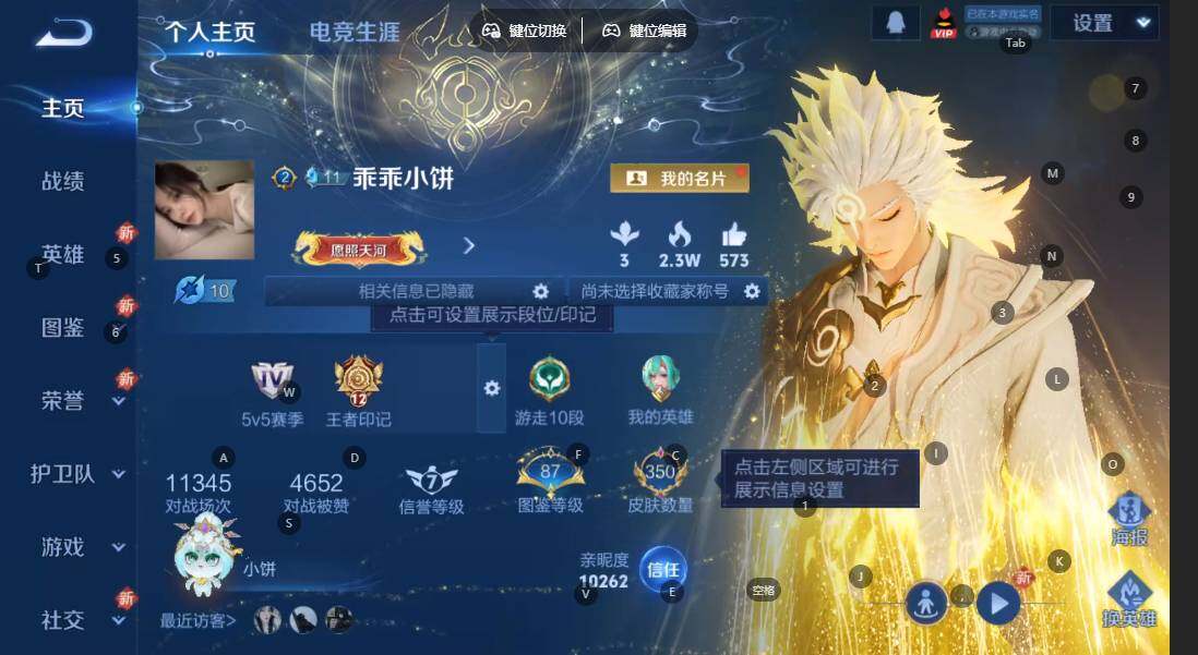 WZQM3375622王者荣耀账号详情图3