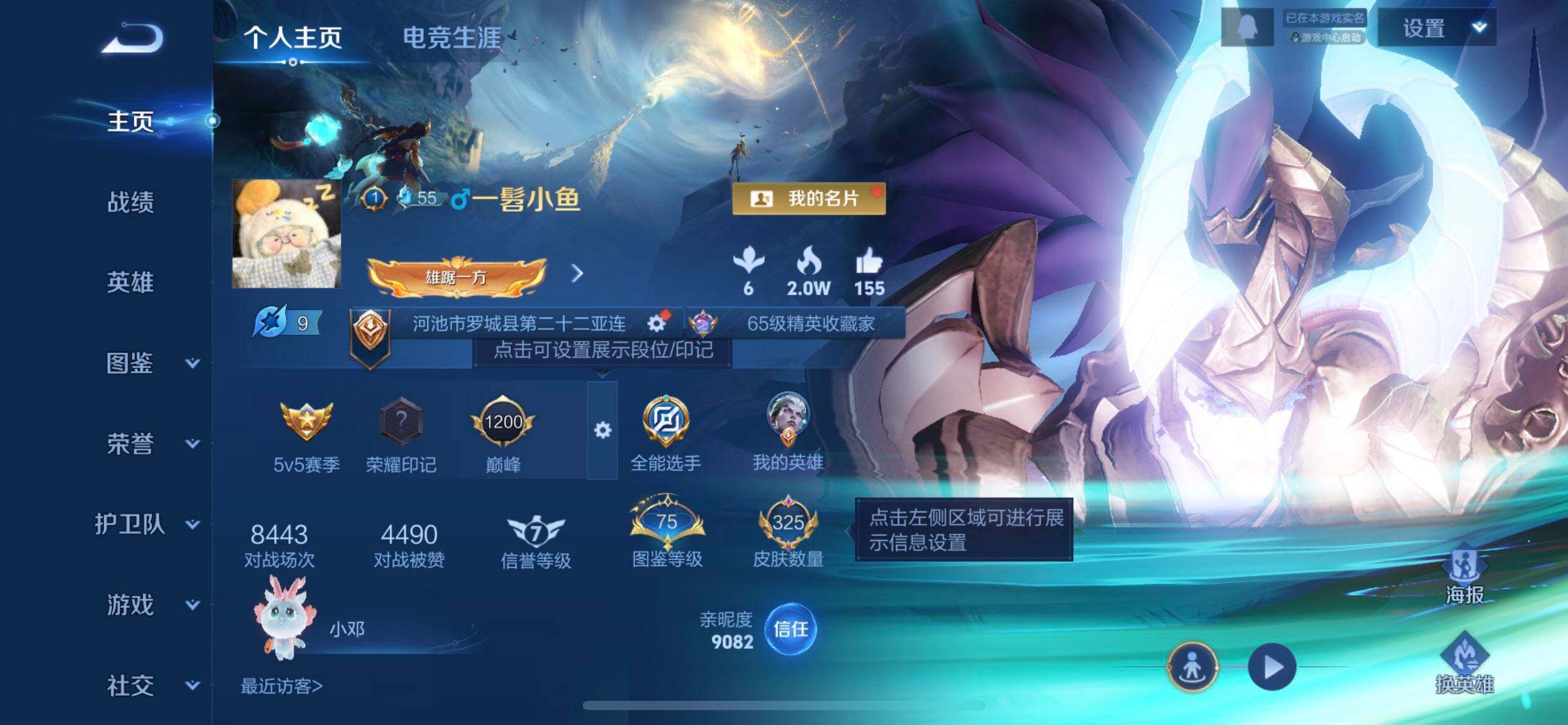 WZQM3375490王者荣耀账号详情图13 WZQM3375490王者荣耀账号详情图13