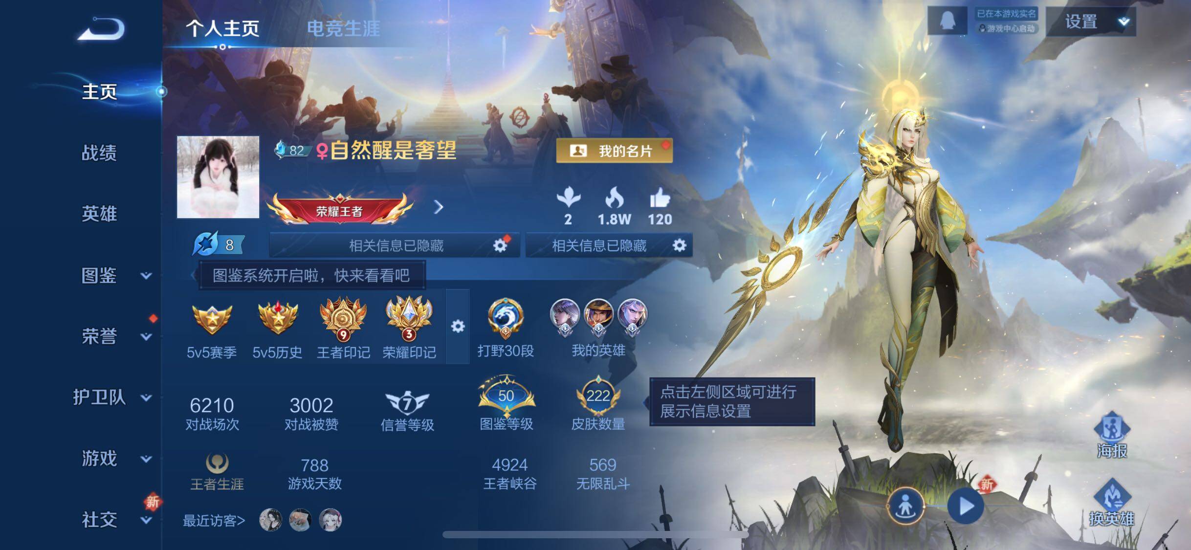 WZCMW424436王者荣耀账号详情图2