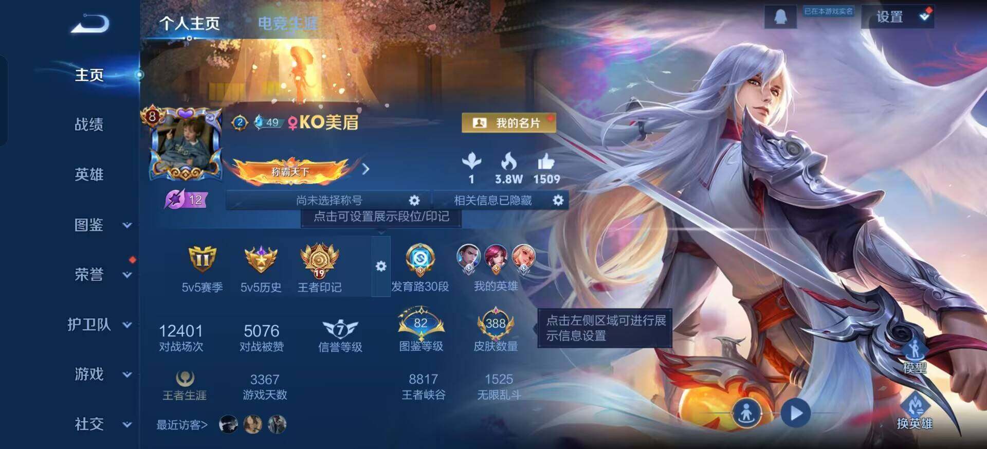 WZQM3382395王者荣耀账号详情图3