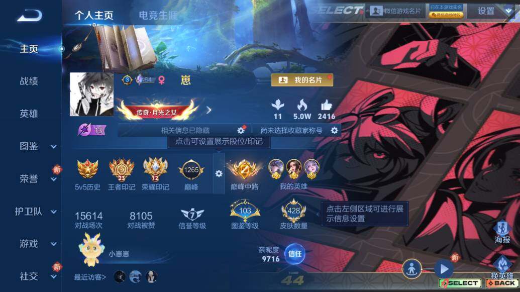 WZLX3376441王者荣耀账号详情图9