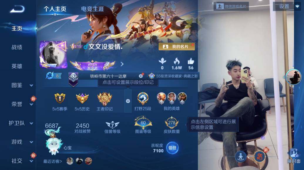 WZLX3376425王者荣耀账号详情图6