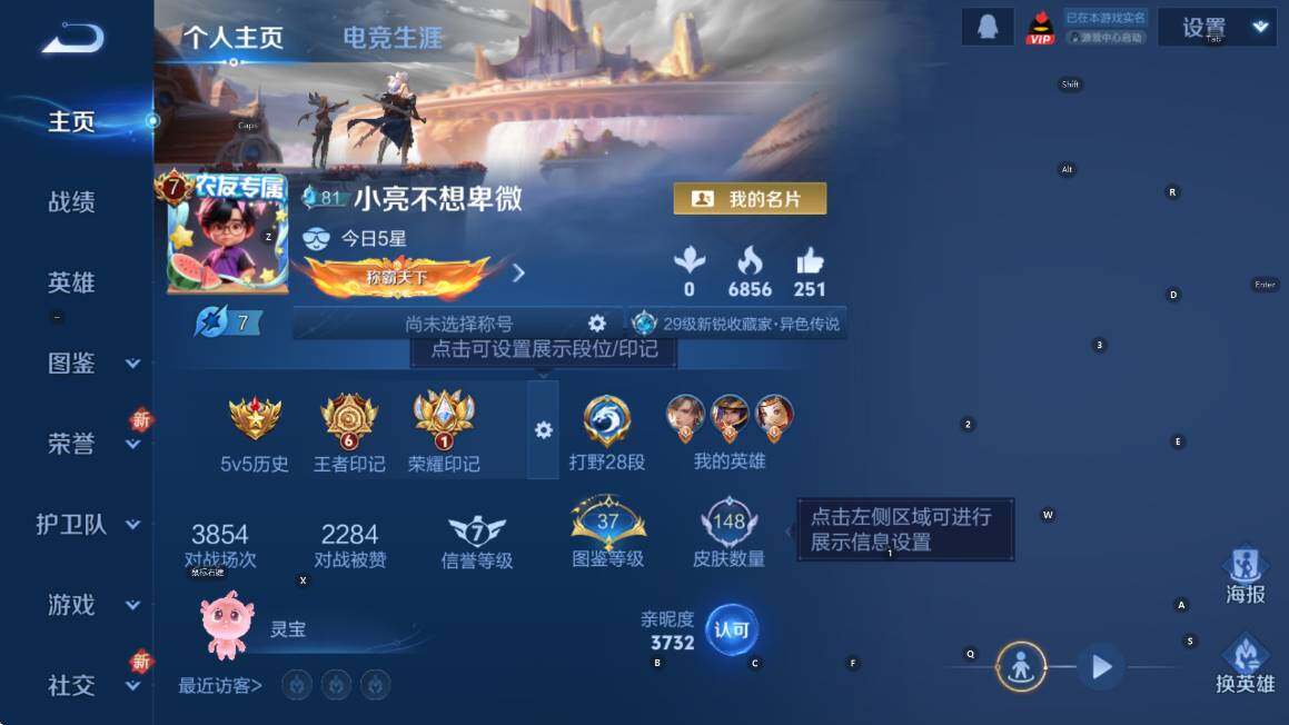 WZCMW3375385王者荣耀账号详情图6