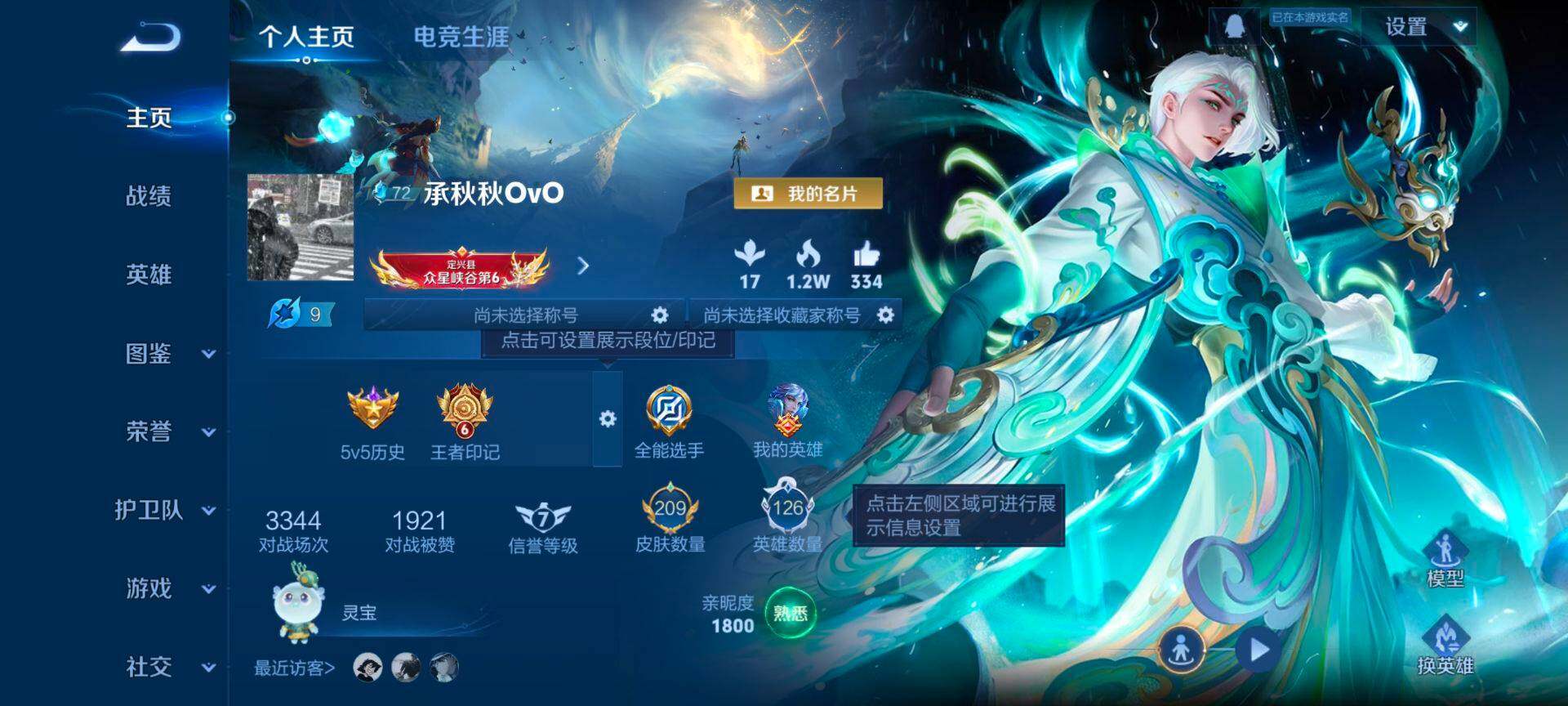 WZQM3376224王者荣耀账号详情图4