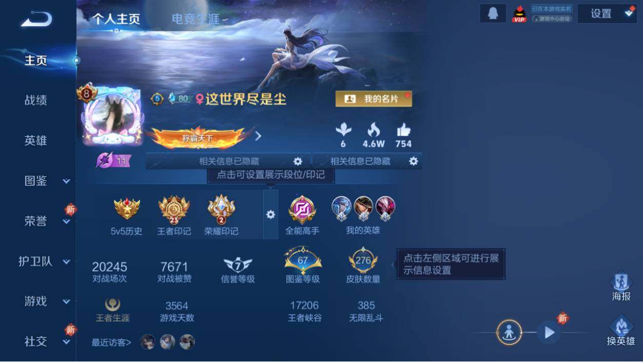 WZ0349476王者荣耀账号详情图15