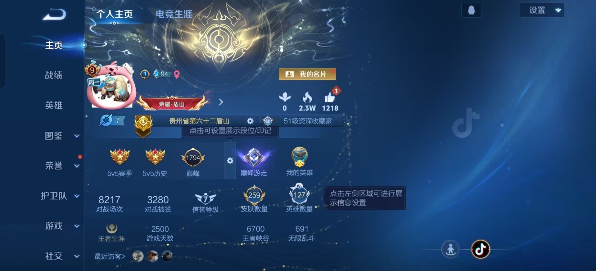 WZQM3377655王者荣耀账号详情图11