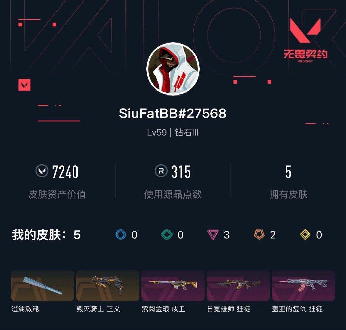 WWQXL323913无畏契约账号详情图3 WWQXL323913无畏契约账号详情图3