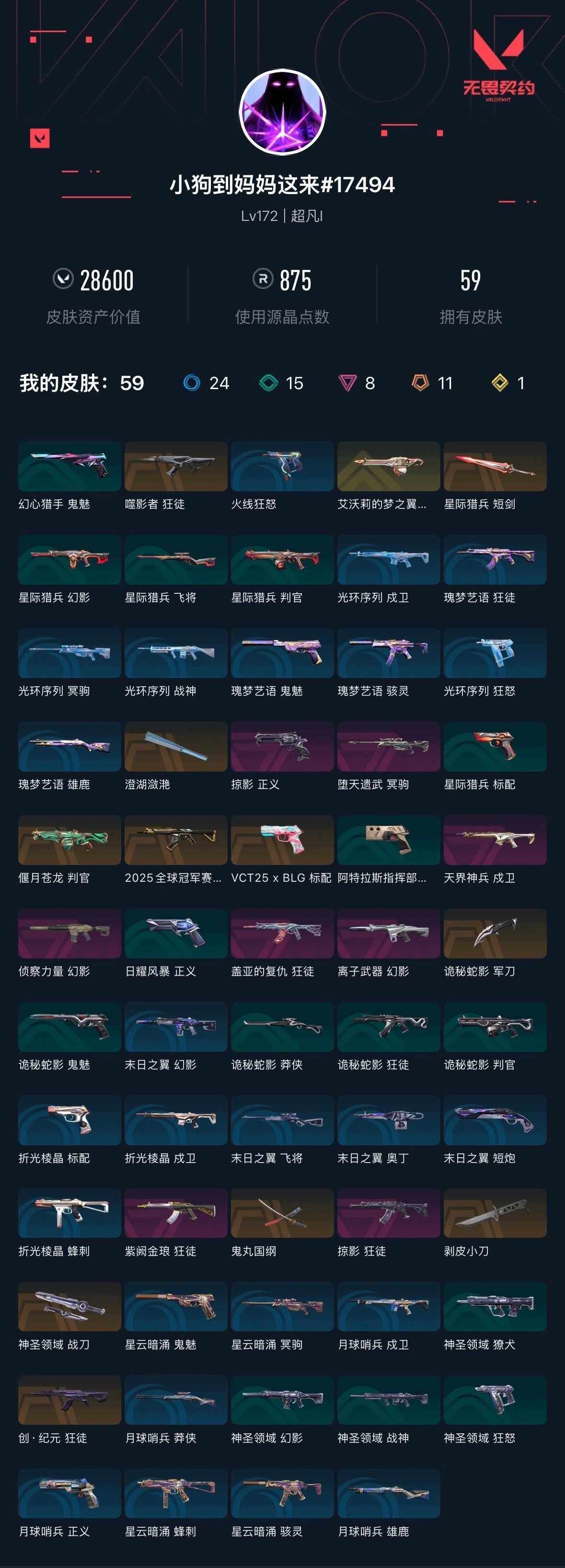 WWQXL323917无畏契约账号详情图2 WWQXL323917无畏契约账号详情图2