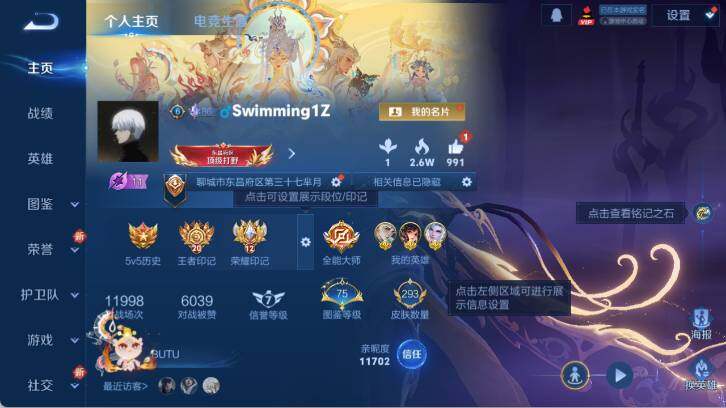 WZ0349479王者荣耀账号详情图10