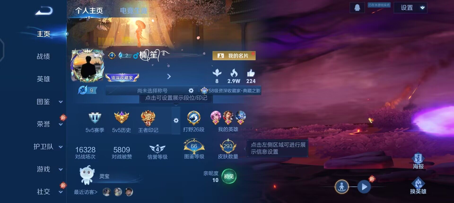 WZQM3385398王者荣耀账号详情图7