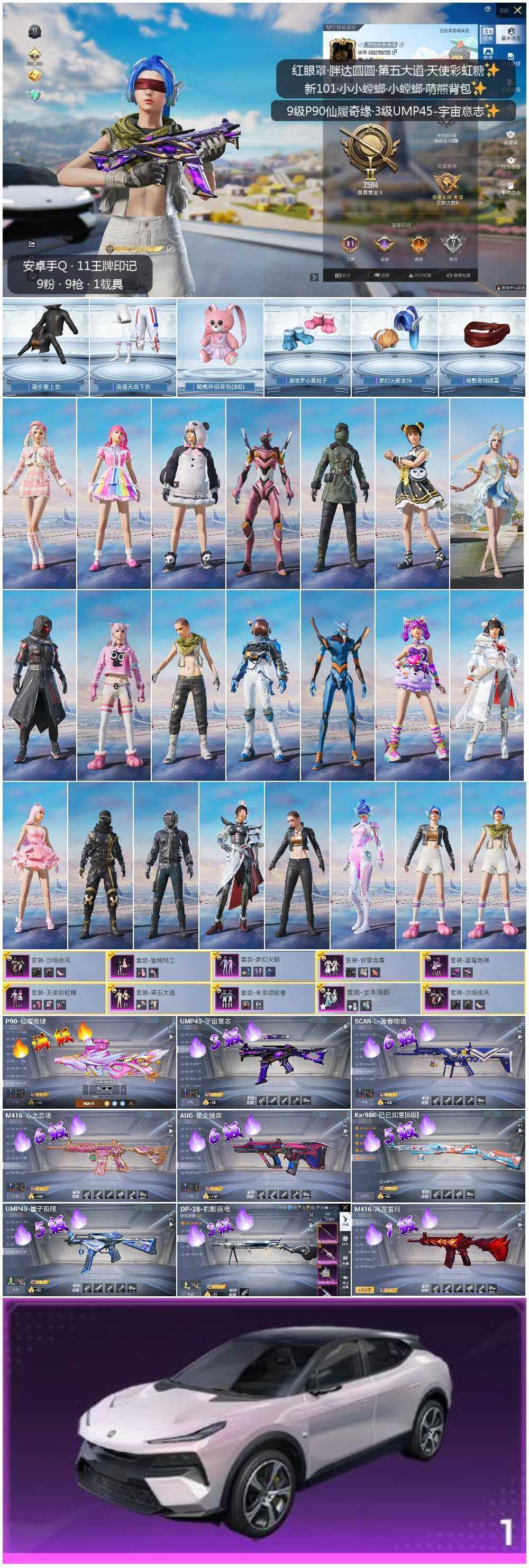 HPLE3393347和平精英账号详情图2 HPLE3393347和平精英账号详情图2