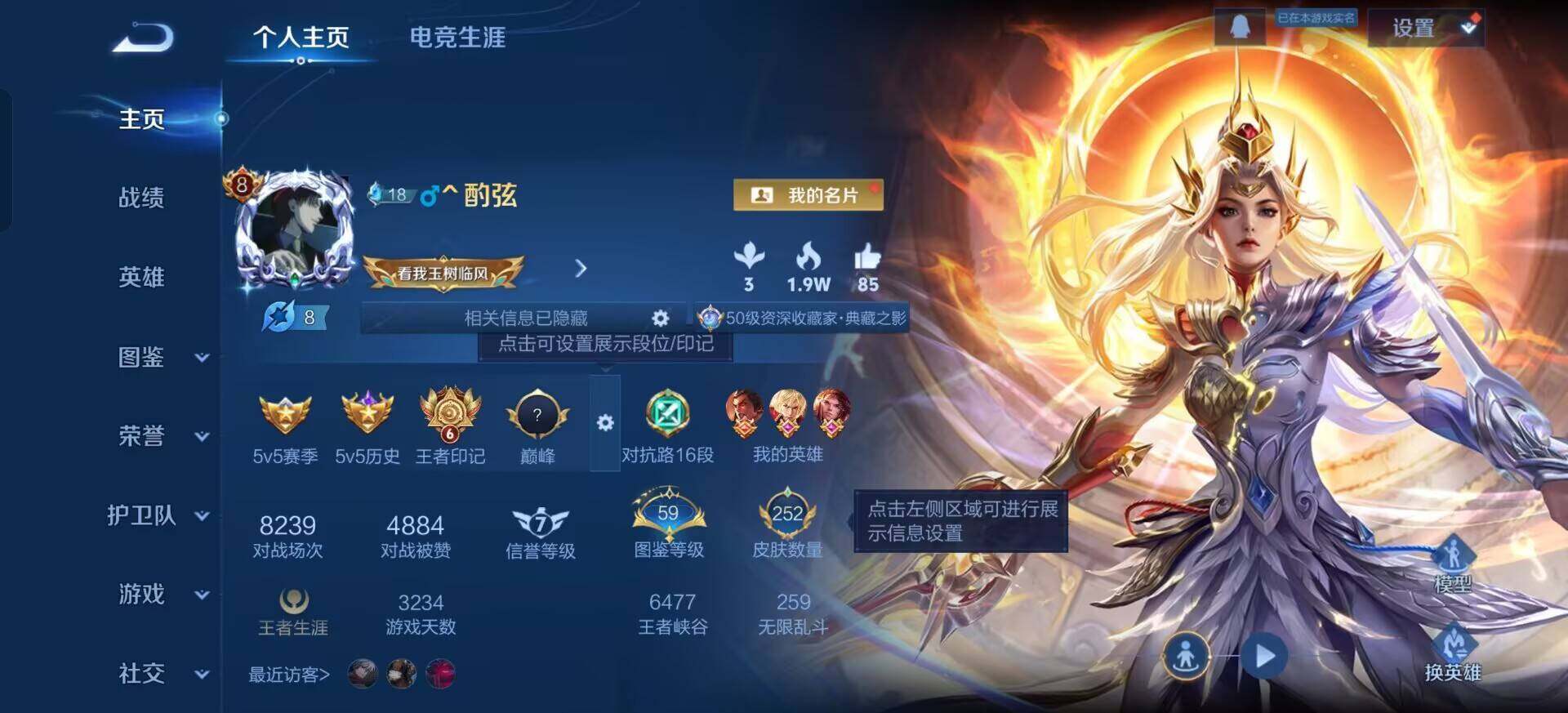 WZQM3385221王者荣耀账号详情图14