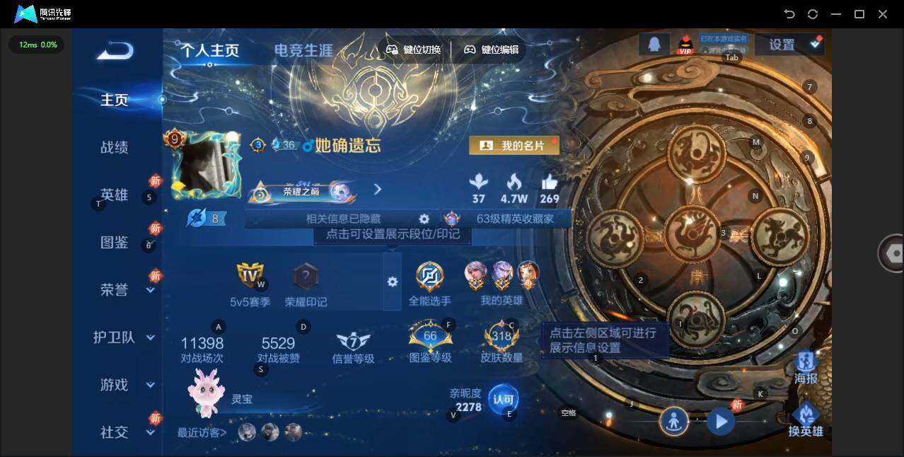 WZLX3379876王者荣耀账号详情图8