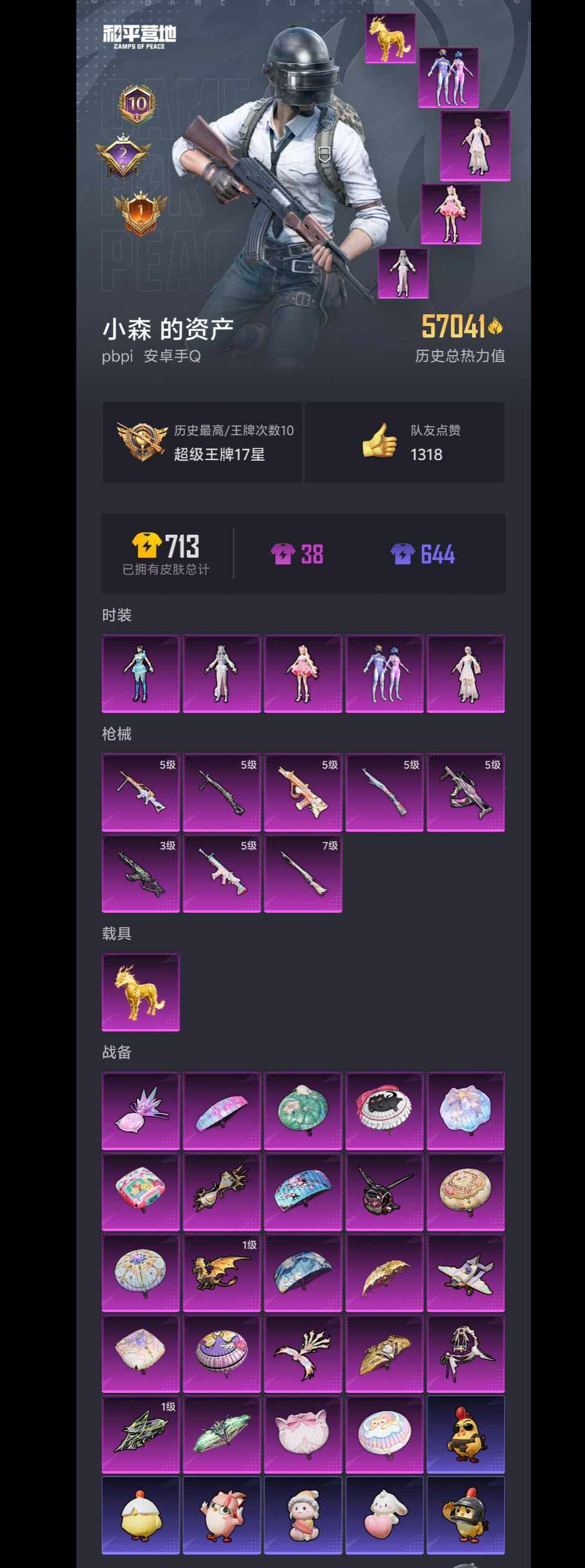 HPCMW465757和平精英账号详情图2