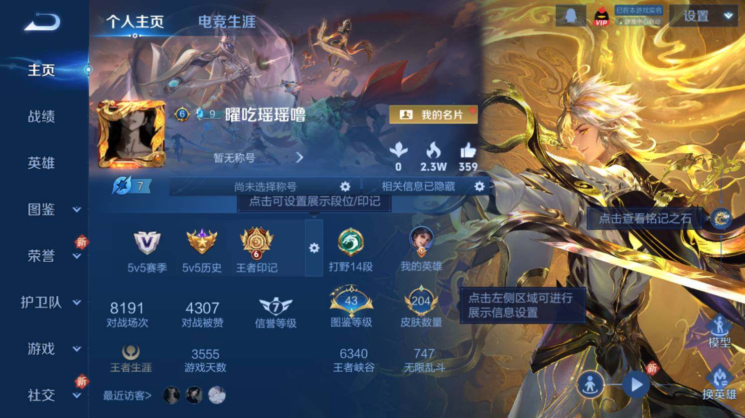 WZ0349498王者荣耀账号详情图8