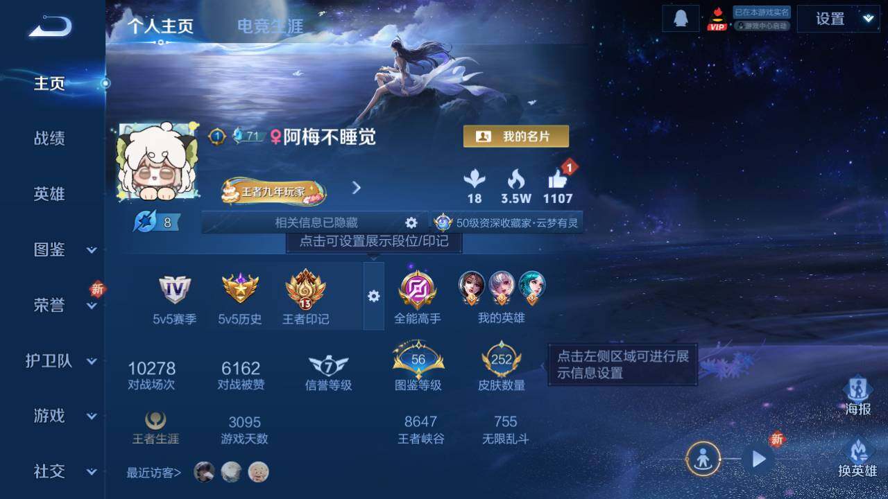 WZ0349503王者荣耀账号详情图7