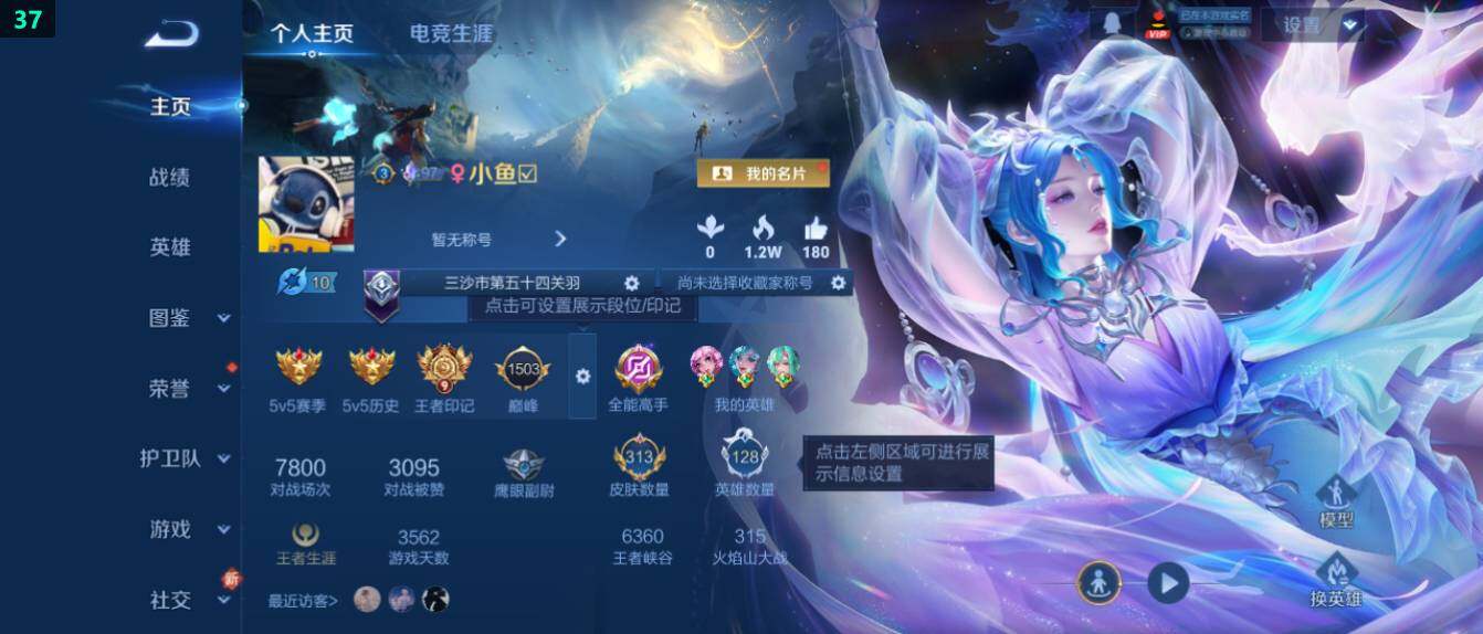 WZ0349512王者荣耀账号详情图9