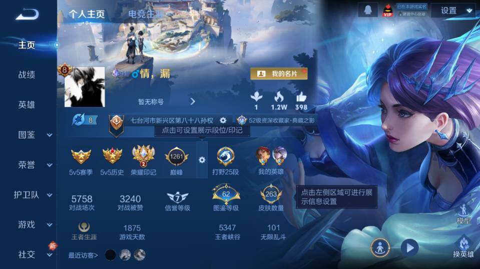 WZ0349513王者荣耀账号详情图8