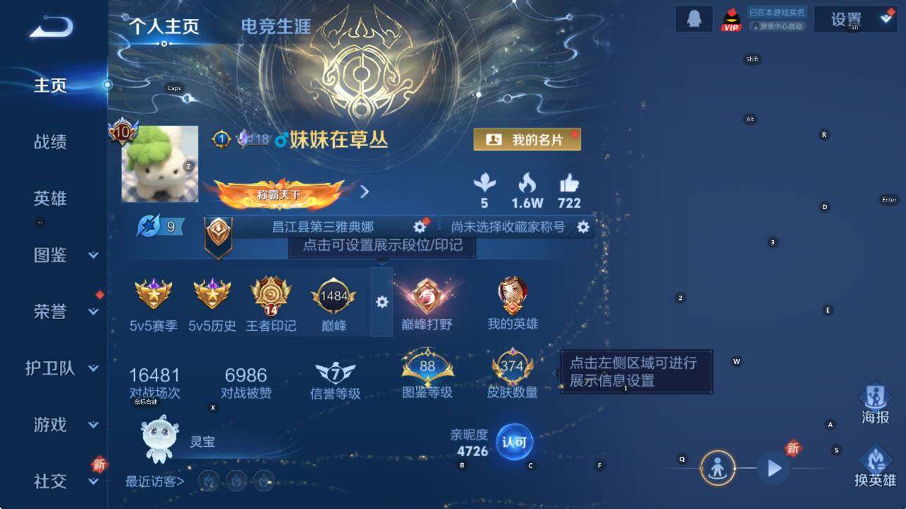 WZCMW3383037王者荣耀账号详情图10