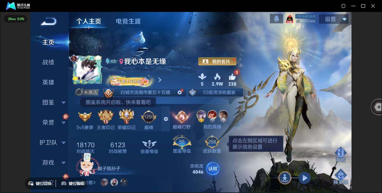 WZLE3384695王者荣耀账号详情图2