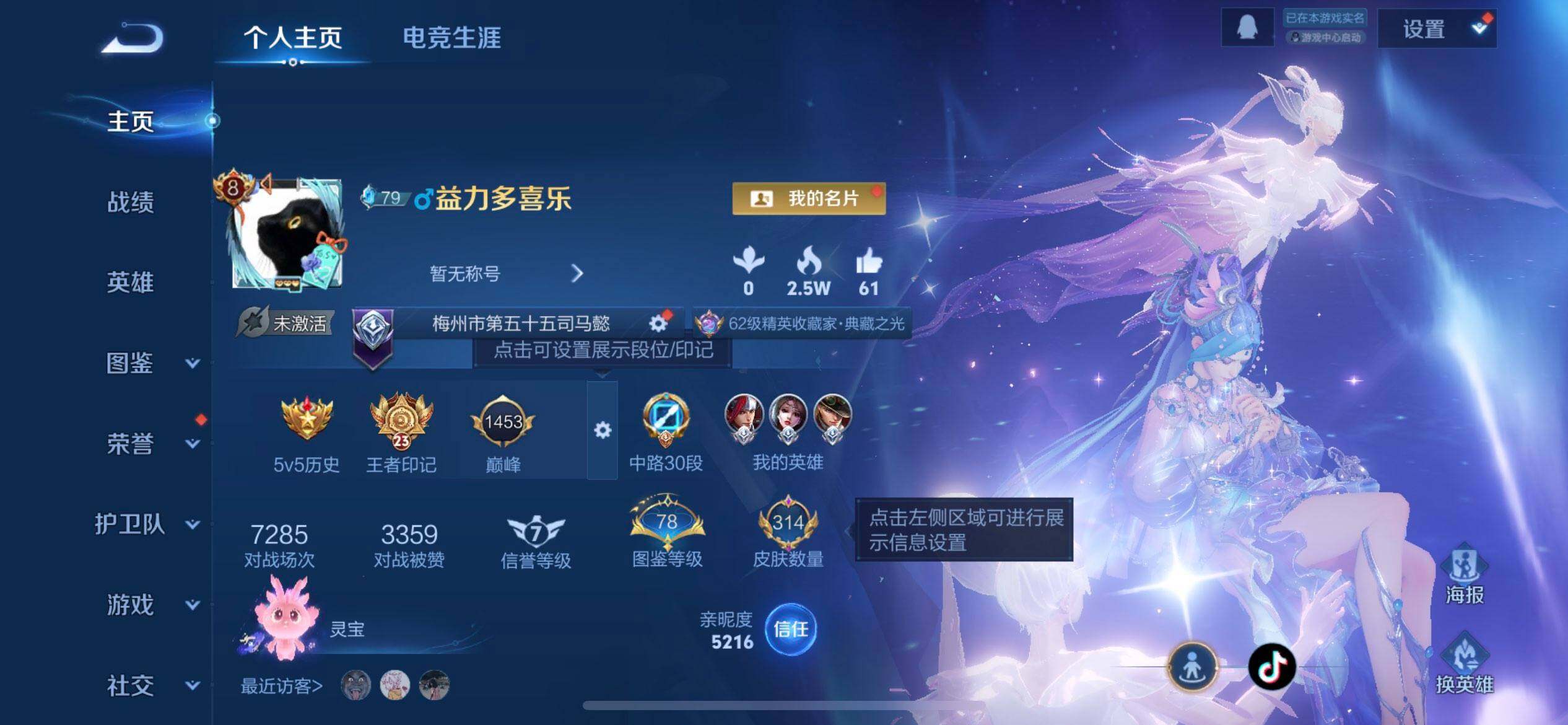 WZQM3384553王者荣耀账号详情图7