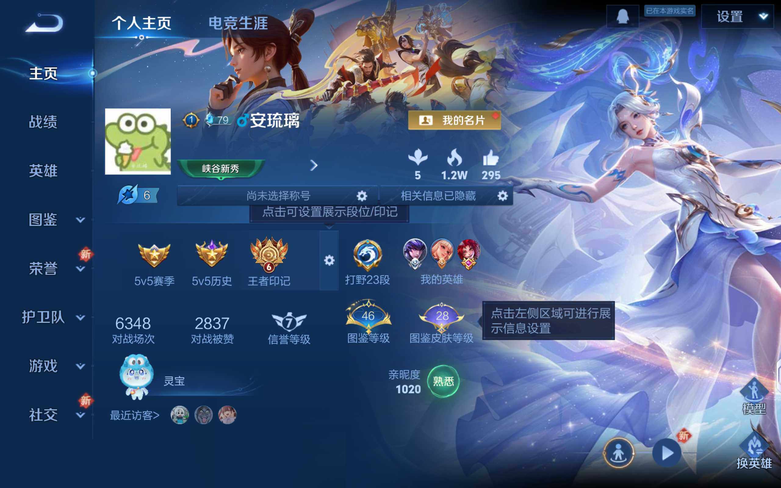 WZQM3385761王者荣耀账号详情图7