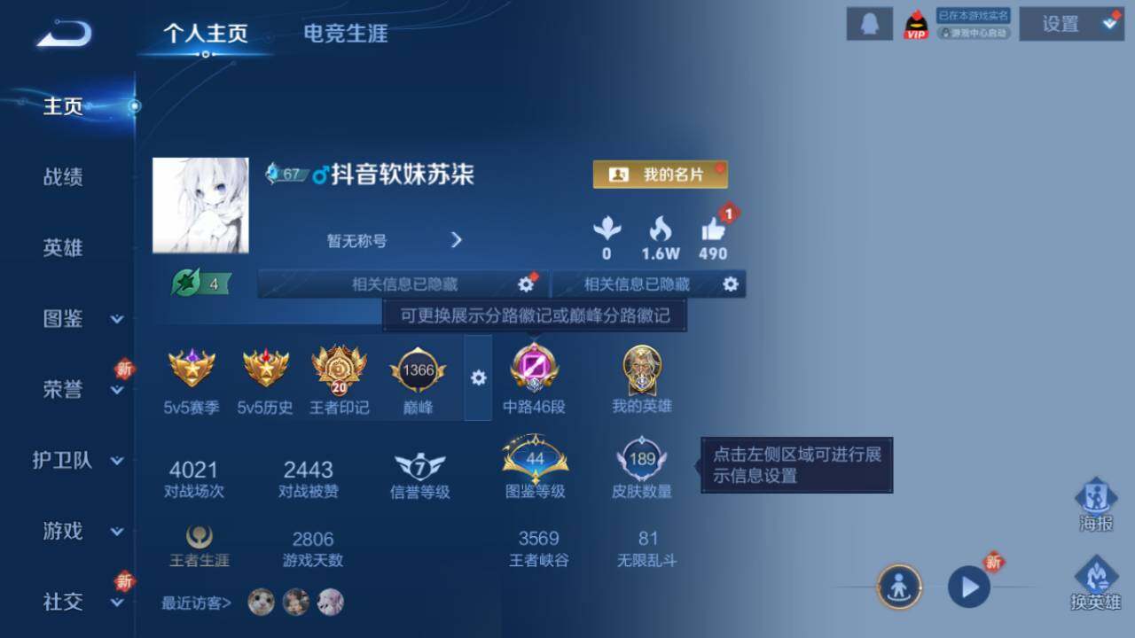 WZ0349554王者荣耀账号详情图14