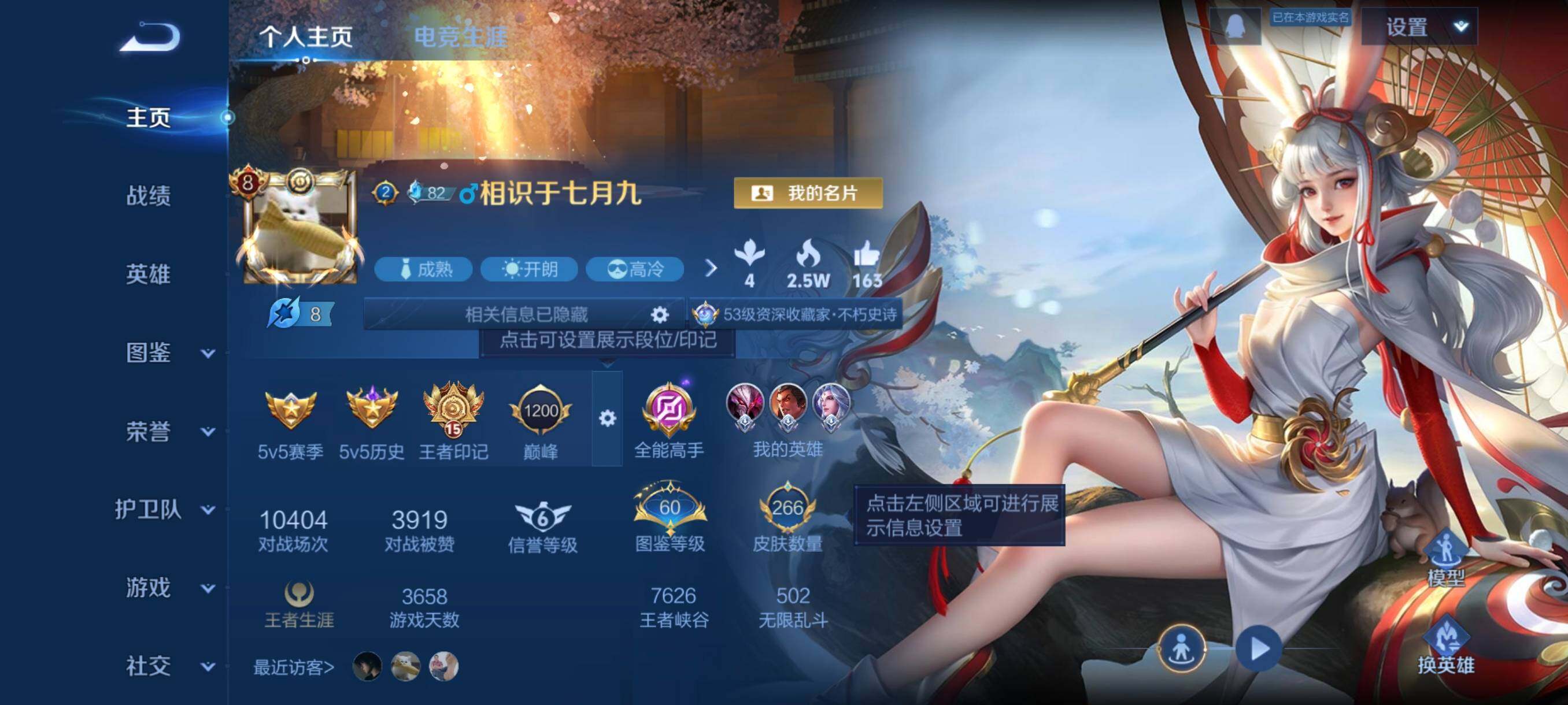 WZCMW3391409王者荣耀账号详情图3