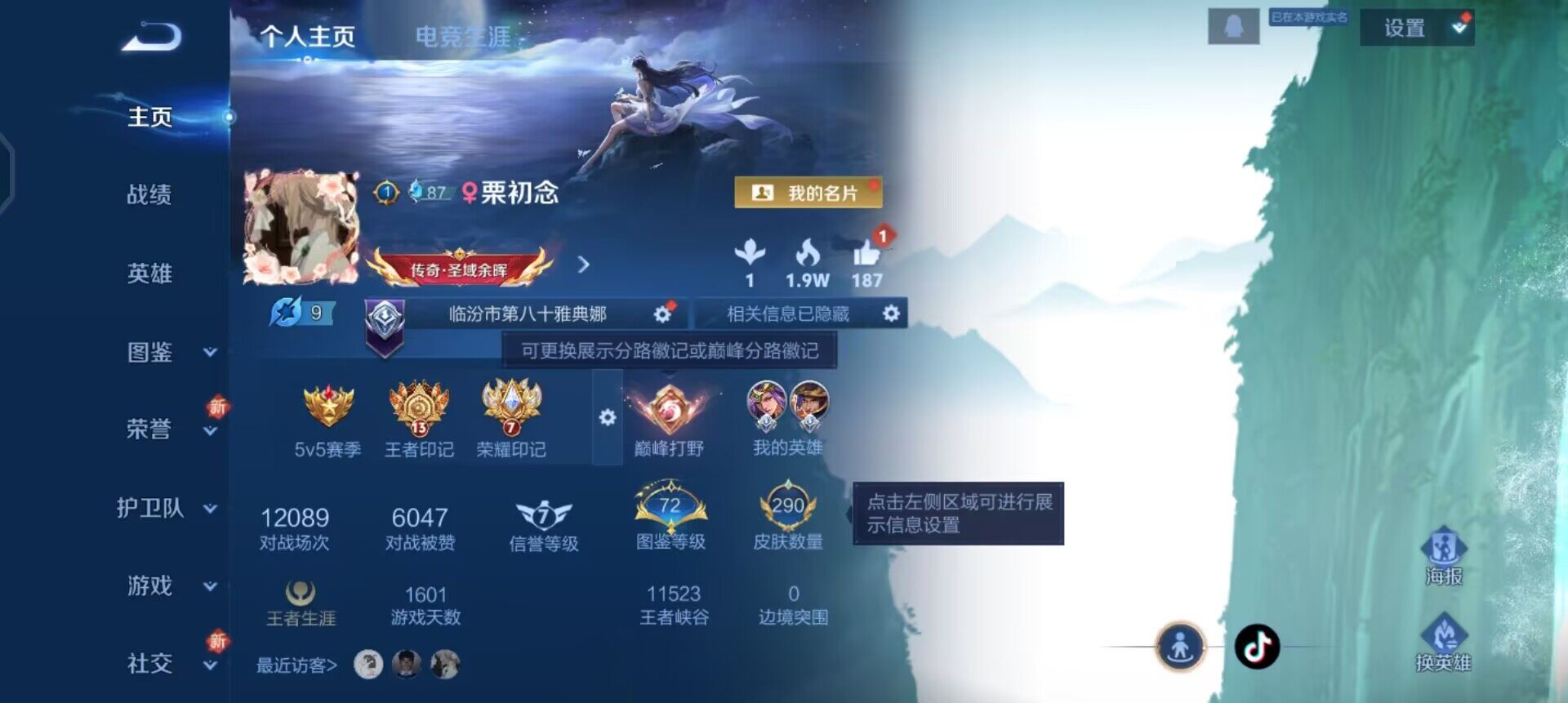 WZQM3390389王者荣耀账号详情图3