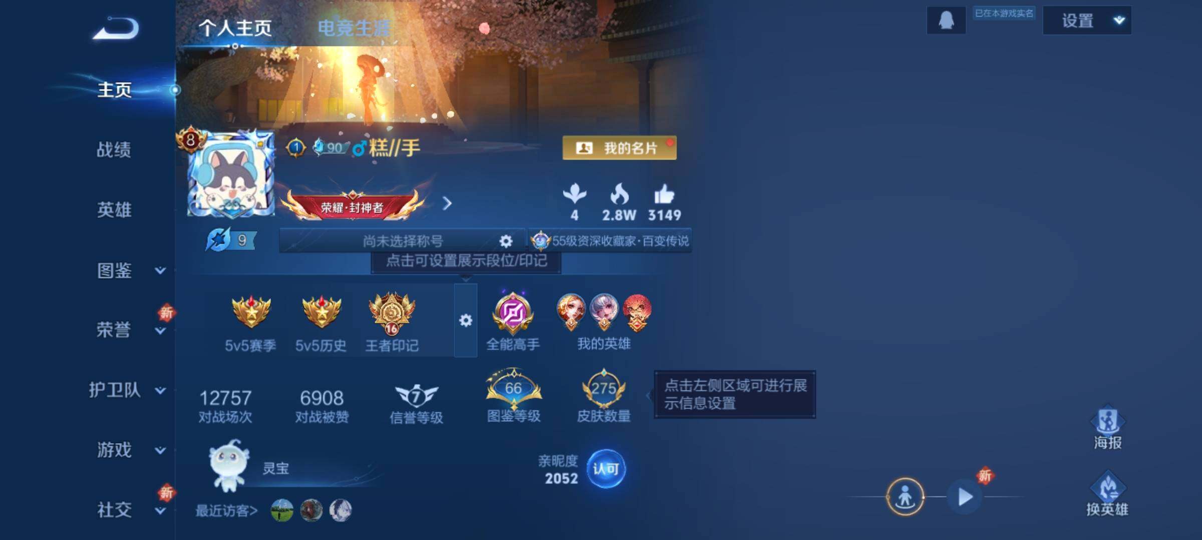 WZKG497243王者荣耀账号详情图2