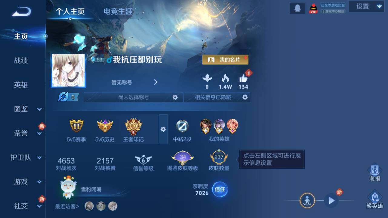 WZ0349562王者荣耀账号详情图7 WZ0349562王者荣耀账号详情图7