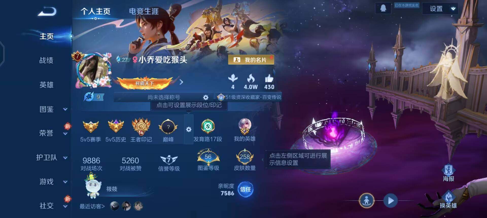 WZQM3390371王者荣耀账号详情图12