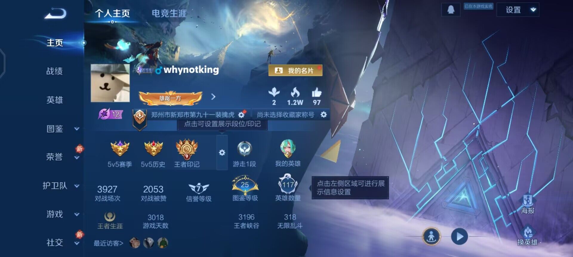 WZQM3390353王者荣耀账号详情图9