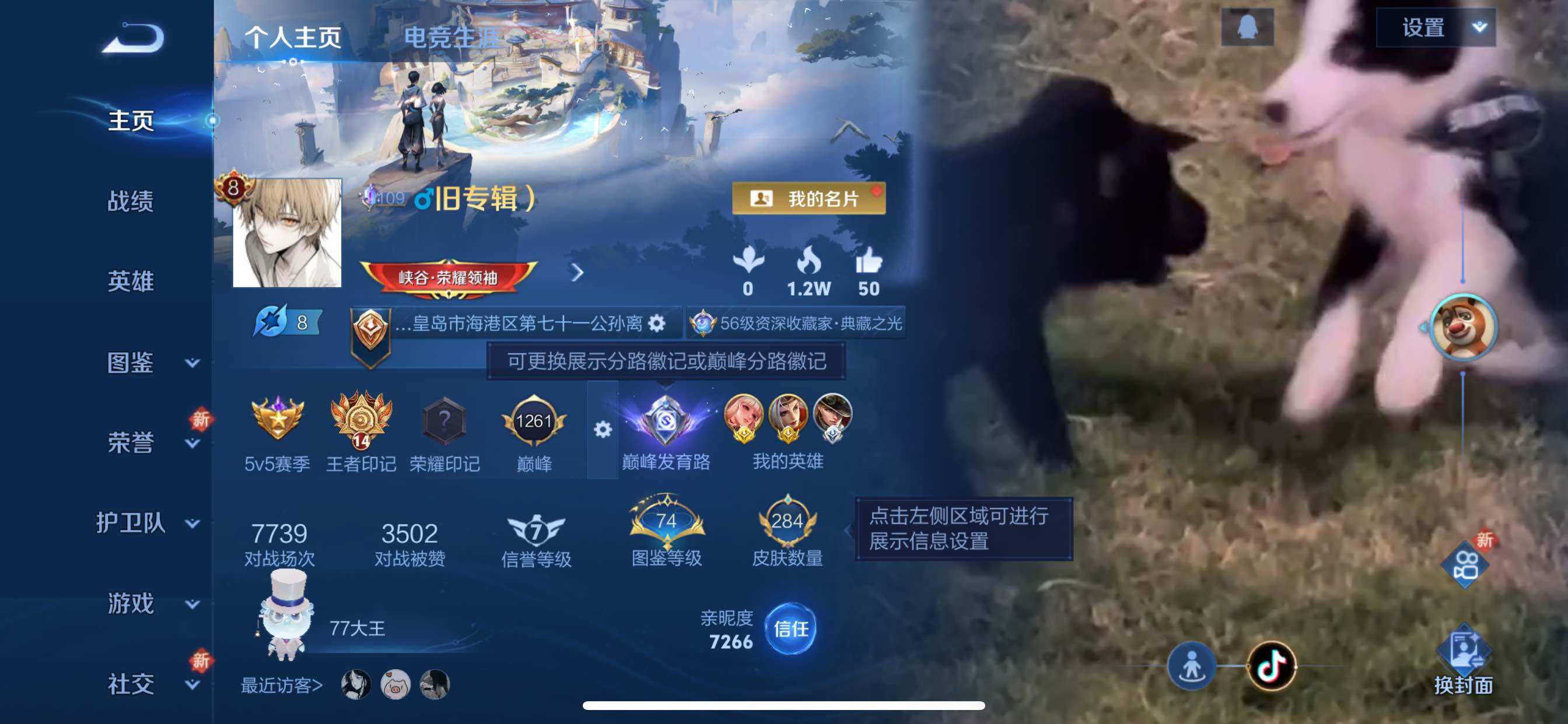 WZCMY3389108王者荣耀账号详情图2 WZCMY3389108王者荣耀账号详情图2