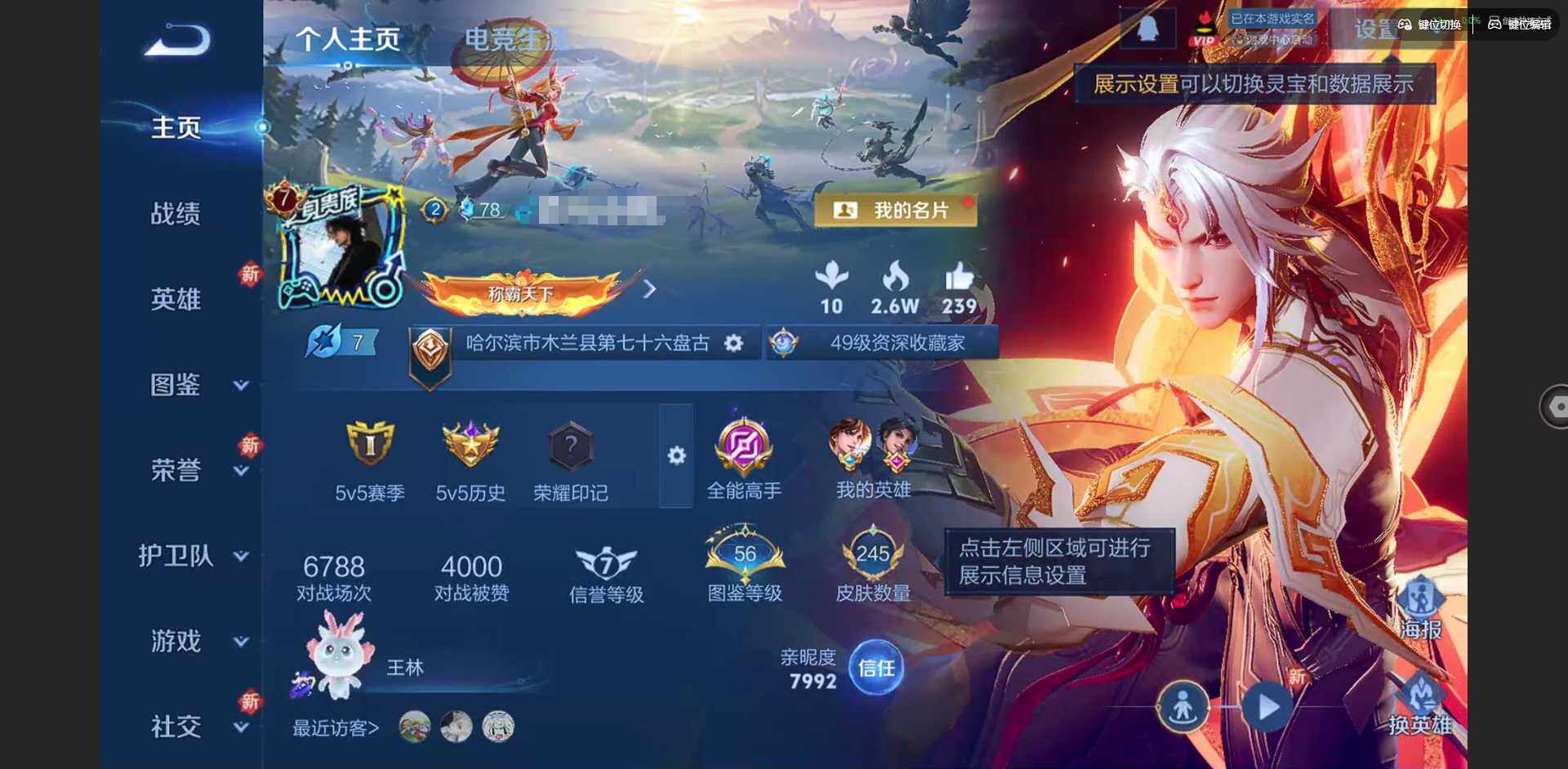 WZQM3390436王者荣耀账号详情图3 WZQM3390436王者荣耀账号详情图3