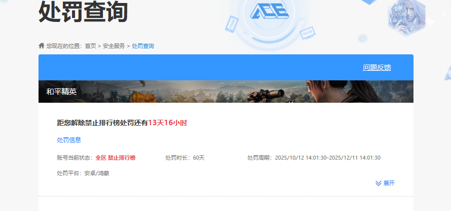 WZKG451226王者荣耀账号详情图5